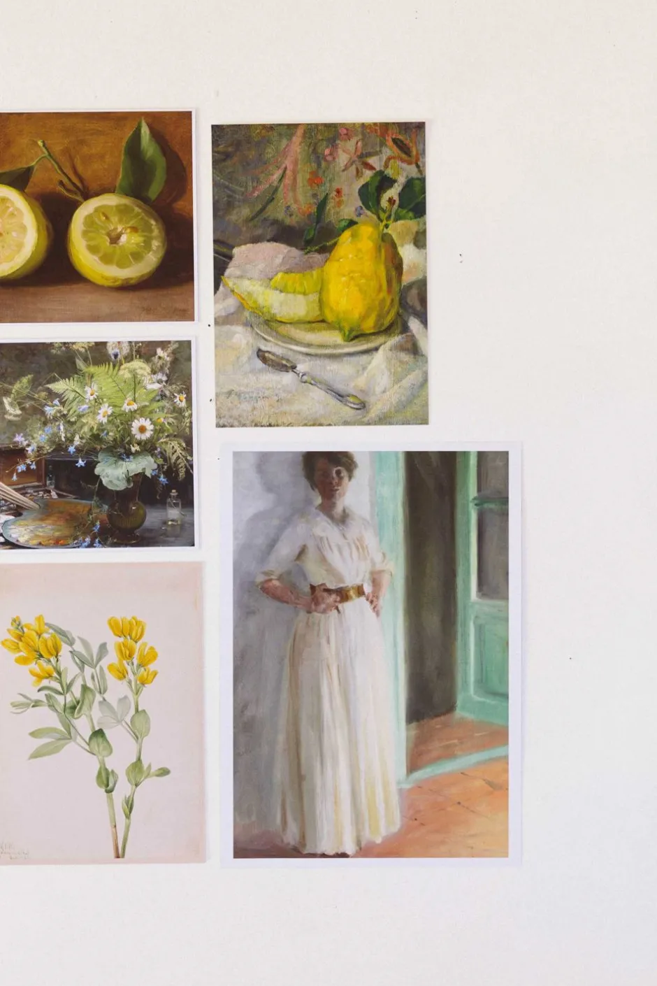 art_print_set__the_naturalist_2.webp Shop Lazybones Art Print Set - The Naturalist