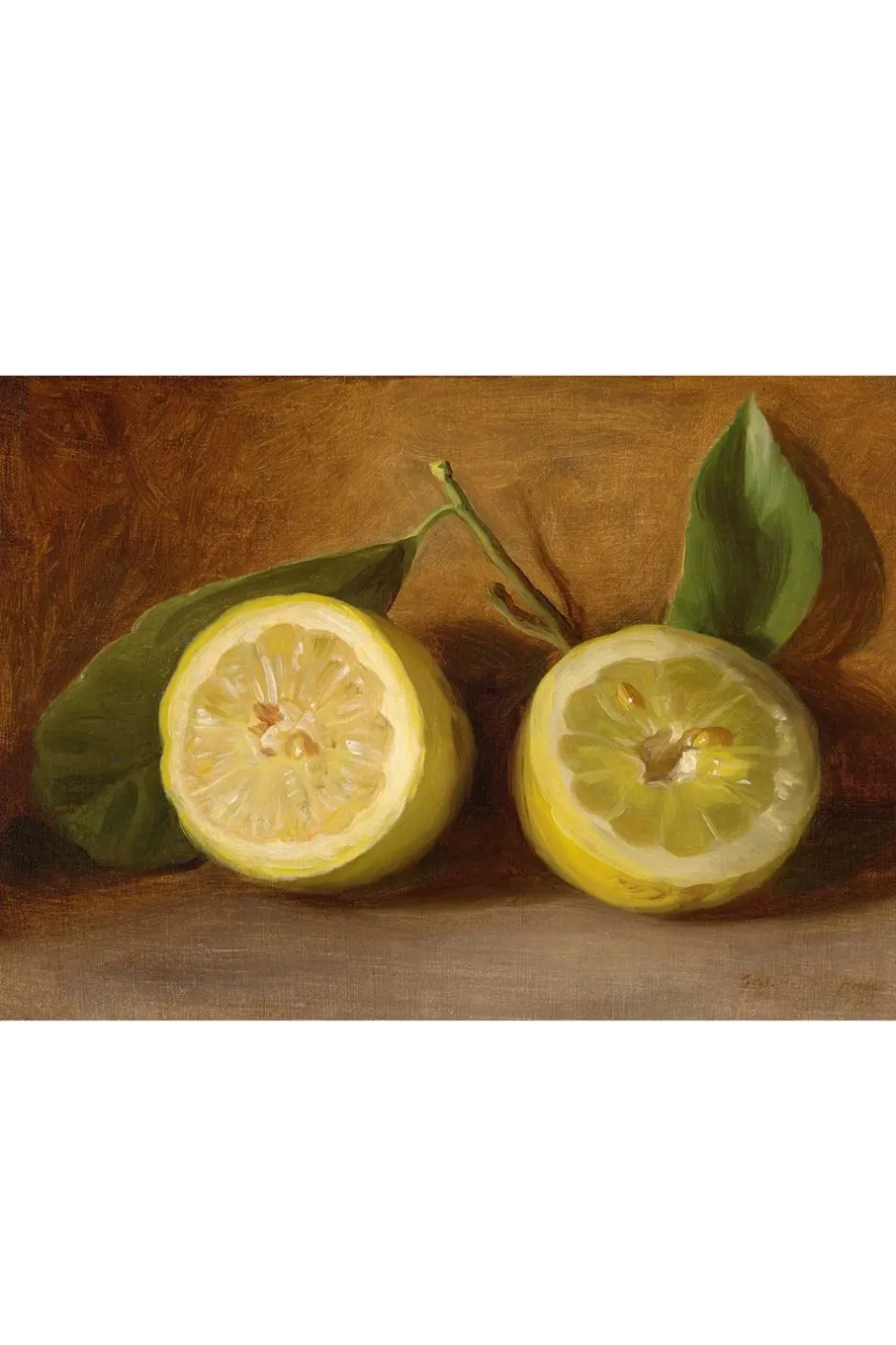 art_print_set__the_naturalist_5.webp Shop Lazybones Art Print Set - The Naturalist