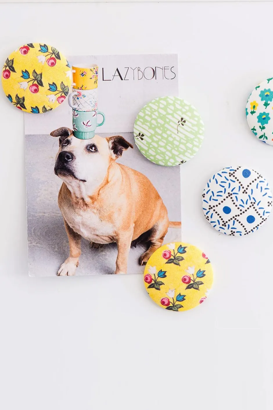 New Lazybones Mellow Magnet