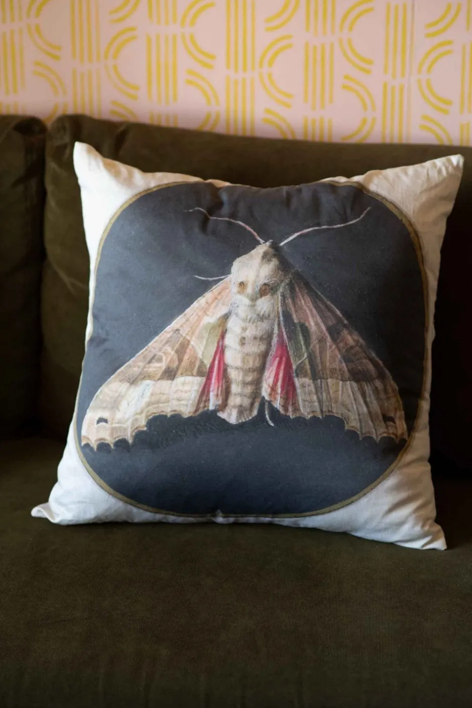 Discount Lazybones Moth Cushion Cover *Organic Cotton
