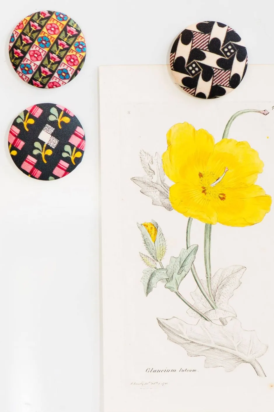 Discount Lazybones Painted Floral Magnet