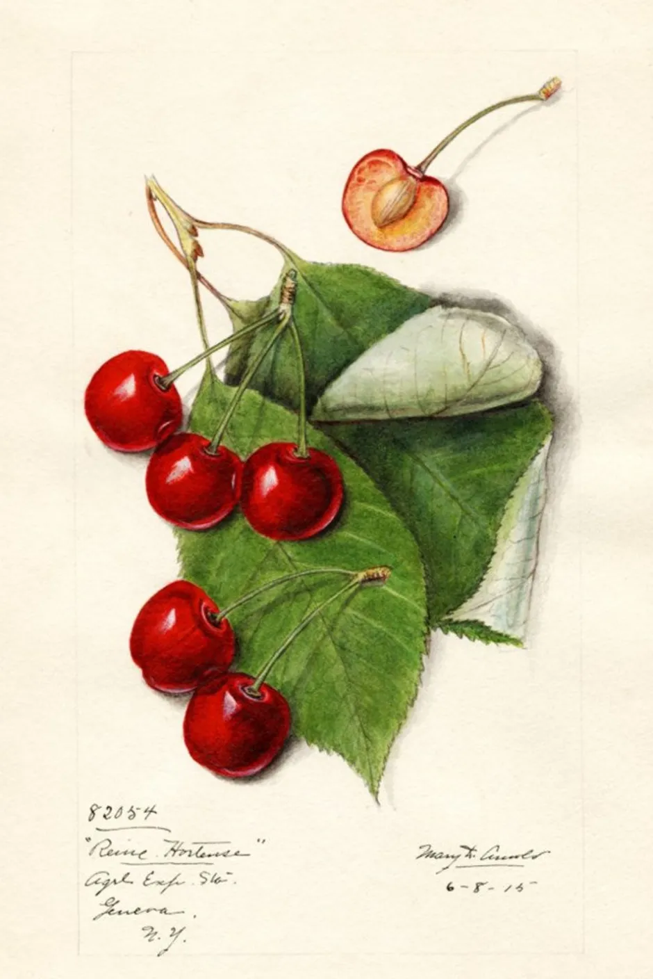 scented_sachet_prunus_3.webp Cheap Lazybones Scented Sachet Prunus