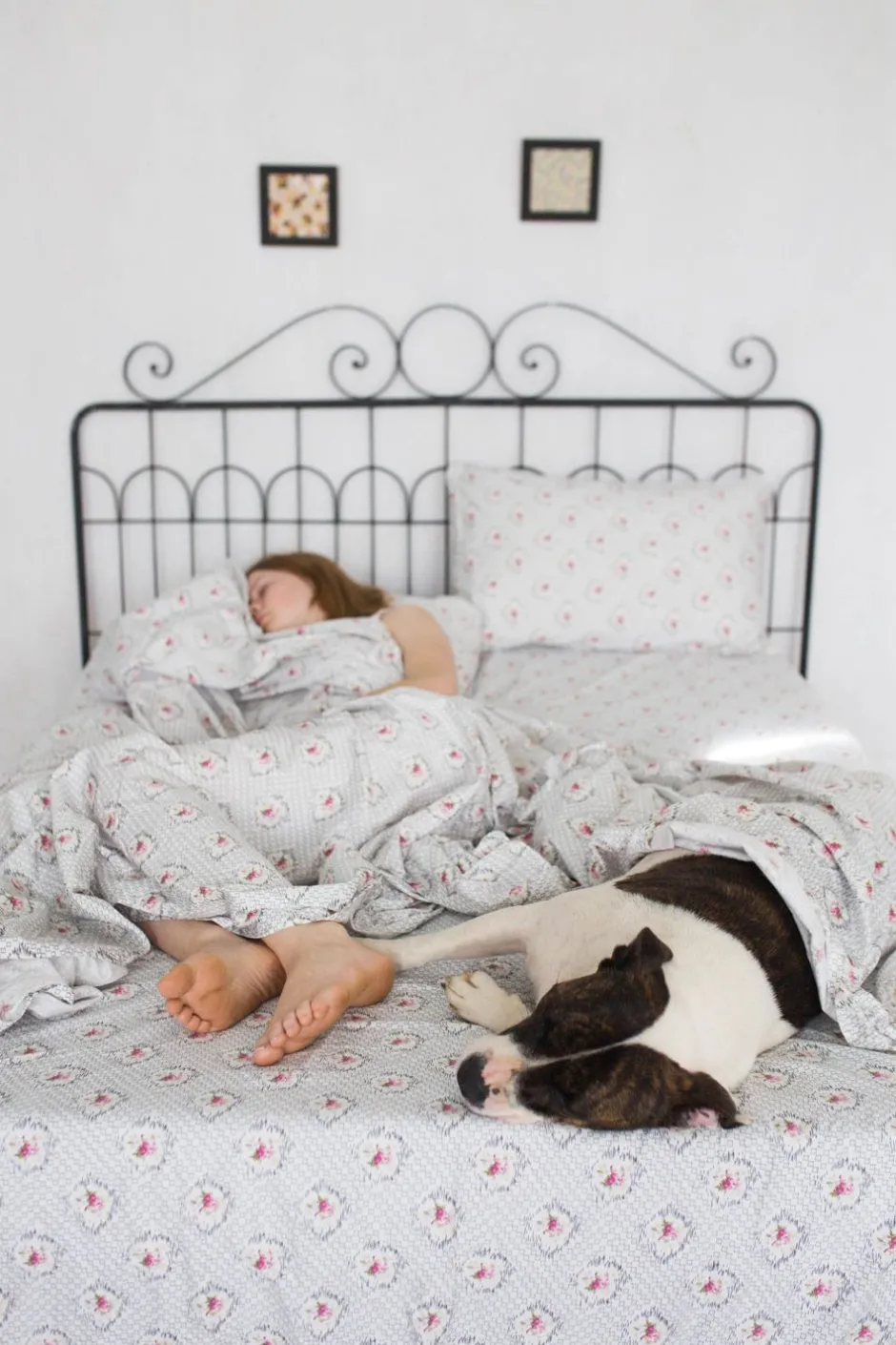 sheet_set_in_vienna_organic_cotton_6.webp New Lazybones Sheet Set In Vienna *Organic Cotton