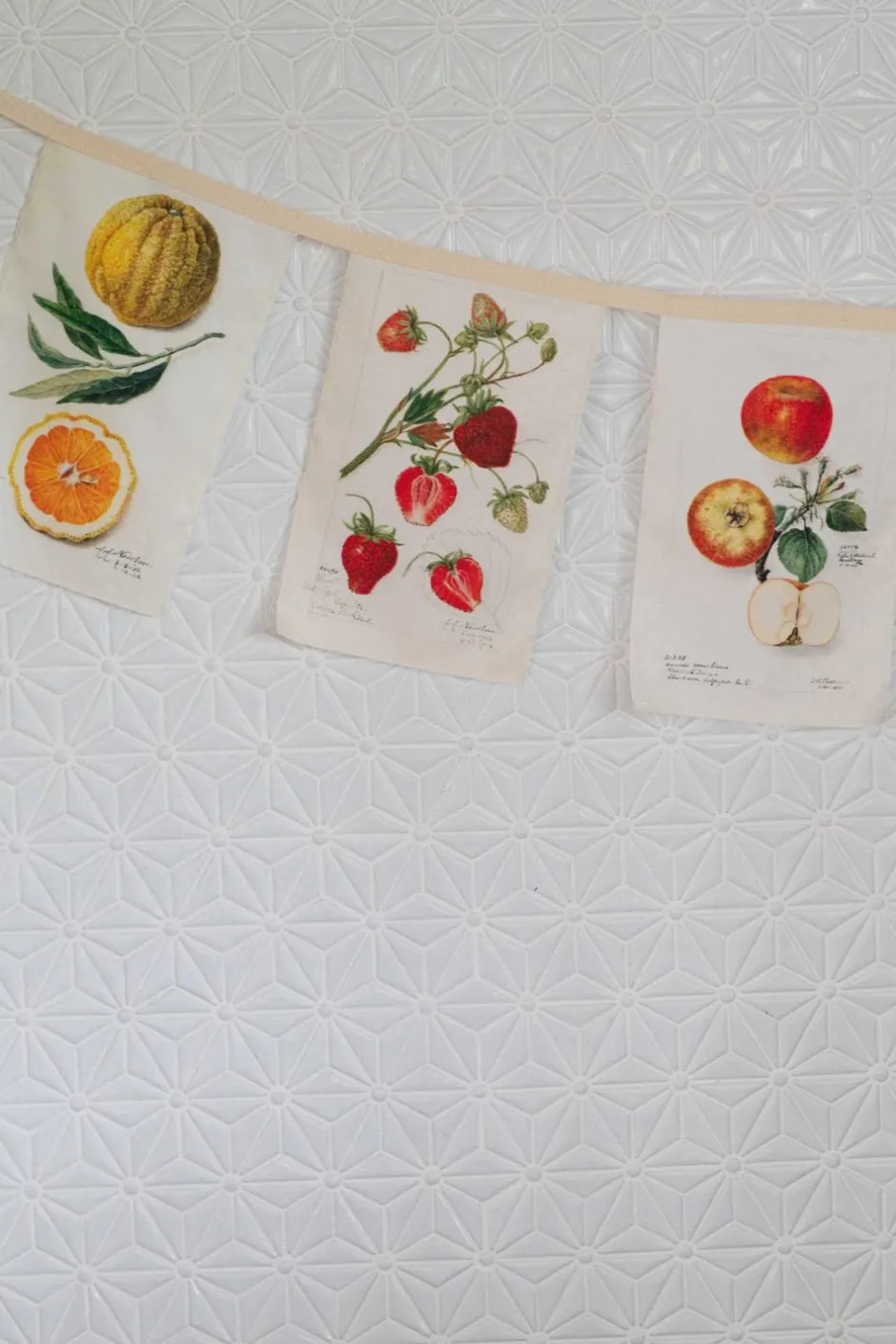 Outlet Lazybones Vintage Fruit Garland