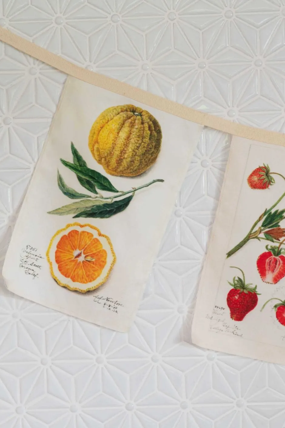 vintage_fruit_garland_3.webp Outlet Lazybones Vintage Fruit Garland
